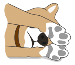 Mr. Shiba Inu sticker #7760395