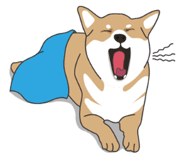 Mr. Shiba Inu sticker #7760396