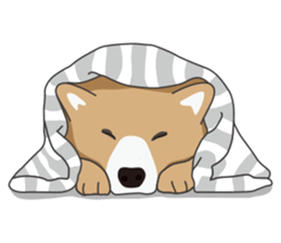 Mr. Shiba Inu sticker #7760397