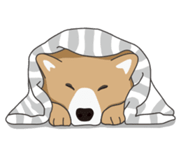 Mr. Shiba Inu sticker #7760397