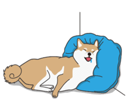 Mr. Shiba Inu sticker #7760398