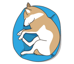 Mr. Shiba Inu sticker #7760399