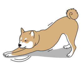 Mr. Shiba Inu sticker #7760400