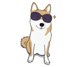 Mr. Shiba Inu sticker #7760404