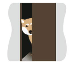 Mr. Shiba Inu sticker #7760406
