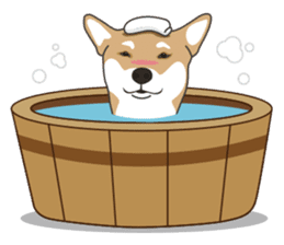 Mr. Shiba Inu sticker #7760407