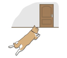Mr. Shiba Inu sticker #7760410