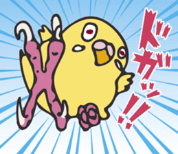 Neighbor Budgie(lutino) sticker #7760974