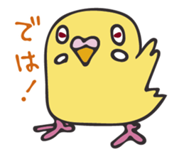 Neighbor Budgie(lutino) sticker #7760976