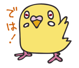 Neighbor Budgie(lutino) sticker #7760976