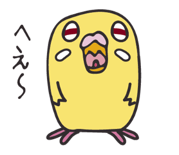 Neighbor Budgie(lutino) sticker #7760978