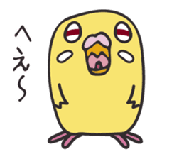 Neighbor Budgie(lutino) sticker #7760978