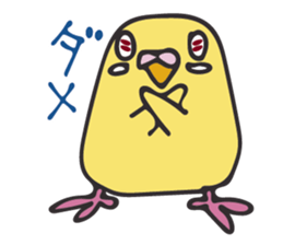 Neighbor Budgie(lutino) sticker #7760980