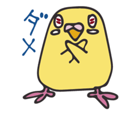 Neighbor Budgie(lutino) sticker #7760980