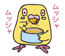 Neighbor Budgie(lutino) sticker #7760993