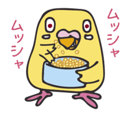 Neighbor Budgie(lutino) sticker #7760993