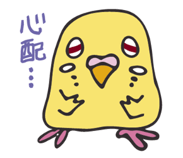 Neighbor Budgie(lutino) sticker #7760998