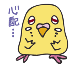 Neighbor Budgie(lutino) sticker #7760998