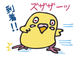 Neighbor Budgie(lutino) sticker #7761000