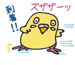 Neighbor Budgie(lutino) sticker #7761000