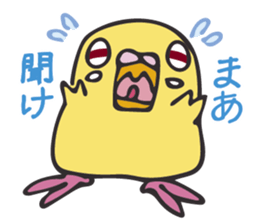 Neighbor Budgie(lutino) sticker #7761002