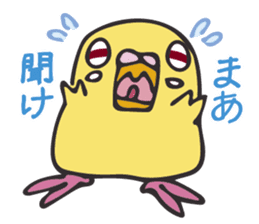 Neighbor Budgie(lutino) sticker #7761002