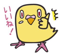 Neighbor Budgie(lutino) sticker #7761011