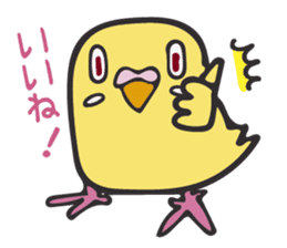 Neighbor Budgie(lutino) sticker #7761011