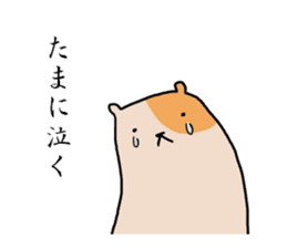 Hamster to talk sticker #7763714