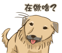 beauty-Dudu sticker #7766364