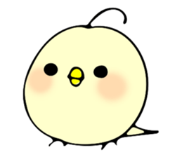Cute Chick Chick Chick sticker #7767268