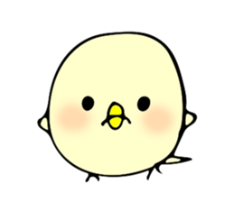 Cute Chick Chick Chick sticker #7767271