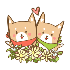 Hype&Hunny Shiba-Inu