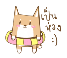 Hype&Hunny Shiba-Inu sticker #7767598