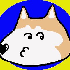 Shiba inu MOMO chan the third as well! 5