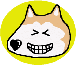 Shiba inu MOMO chan the third as well! 5 sticker #7771872