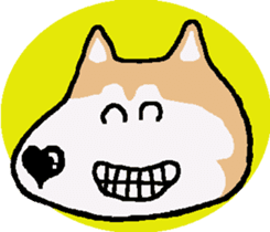 Shiba inu MOMO chan the third as well! 5 sticker #7771873