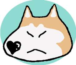 Shiba inu MOMO chan the third as well! 5 sticker #7771881