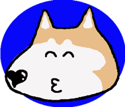 Shiba inu MOMO chan the third as well! 5 sticker #7771884
