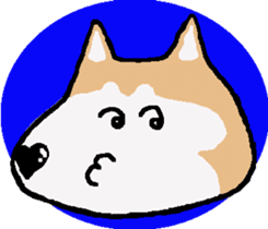 Shiba inu MOMO chan the third as well! 5 sticker #7771885
