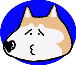 Shiba inu MOMO chan the third as well! 5 sticker #7771886