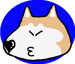 Shiba inu MOMO chan the third as well! 5 sticker #7771887