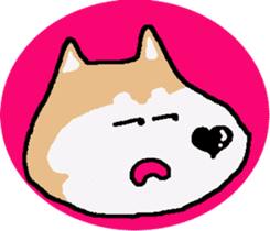 Shiba inu MOMO chan the third as well! 5 sticker #7771888