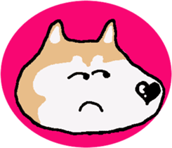 Shiba inu MOMO chan the third as well! 5 sticker #7771889