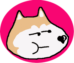 Shiba inu MOMO chan the third as well! 5 sticker #7771890