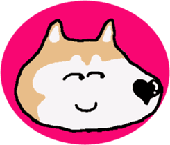 Shiba inu MOMO chan the third as well! 5 sticker #7771891