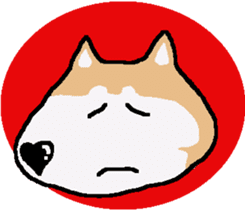 Shiba inu MOMO chan the third as well! 5 sticker #7771893