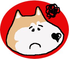 Shiba inu MOMO chan the third as well! 5 sticker #7771894