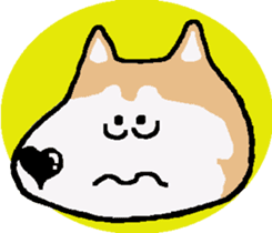 Shiba inu MOMO chan the third as well! 5 sticker #7771898
