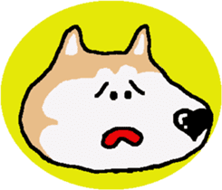 Shiba inu MOMO chan the third as well! 5 sticker #7771899